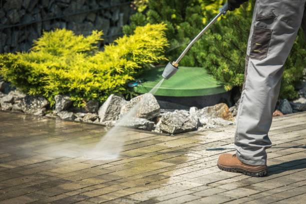 Best Playground Equipment Cleaning  in Jamesburg, NJ
