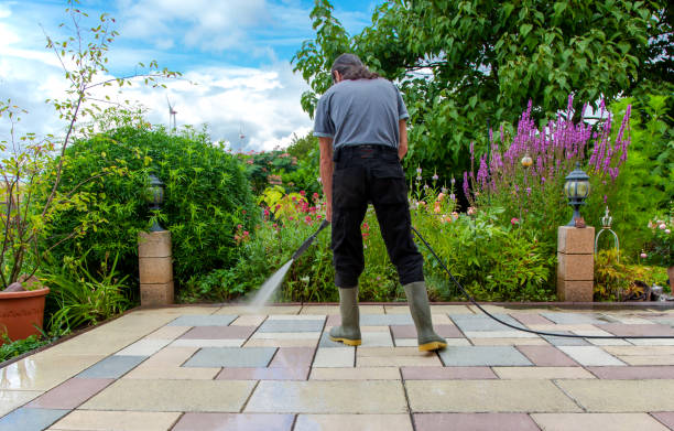 Best Spring Cleaning  in Jamesburg, NJ